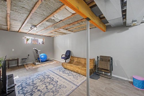 1600 Copperfield Boulevard Se, Calgary, AB - Indoor Photo Showing Basement