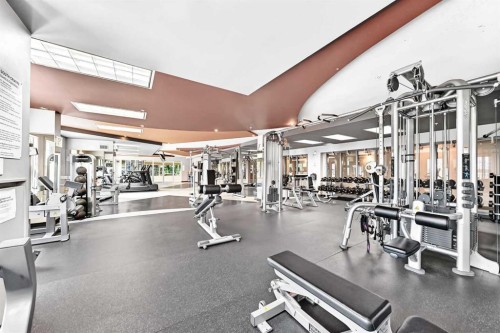 5601-11811 Lake Fraser Drive Se, Calgary, AB - Indoor Photo Showing Gym Room