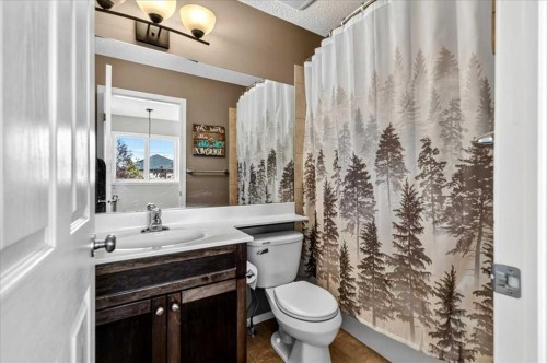 21 Mcintyre Place Nw, Langdon, AB - Indoor Photo Showing Bathroom