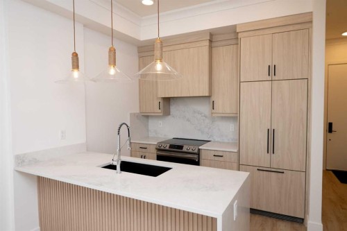 214-330 Dieppe Drive Sw, Calgary, AB - Indoor Photo Showing Kitchen With Upgraded Kitchen