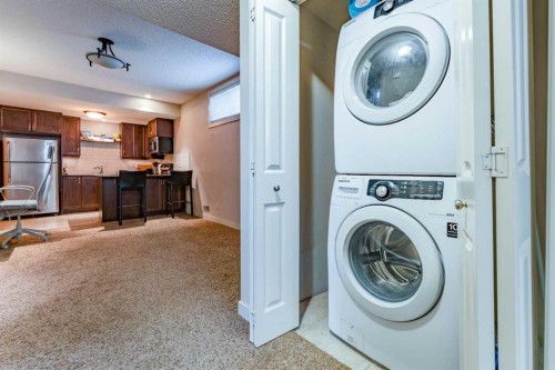 126 Skyview Ranch Street Ne, Calgary, AB - Indoor Photo Showing Laundry Room