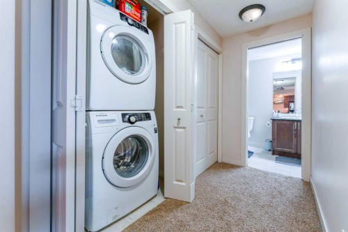 126 Skyview Ranch Street Ne, Calgary, AB - Indoor Photo Showing Laundry Room