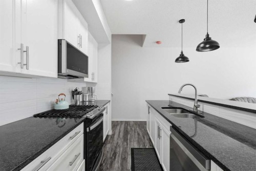 17 Mahogany Terrace Se, Calgary, AB - Indoor Photo Showing Kitchen With Double Sink With Upgraded Kitchen