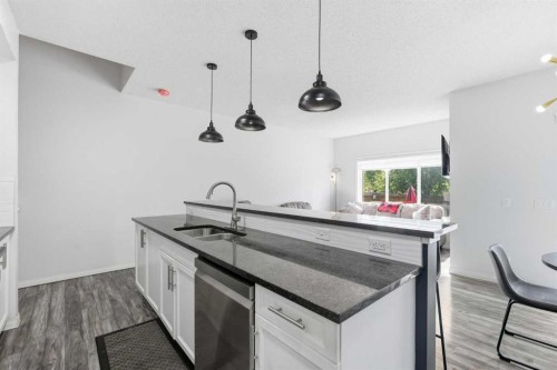 17 Mahogany Terrace Se, Calgary, AB - Indoor Photo Showing Kitchen With Double Sink With Upgraded Kitchen
