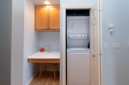 235-112 14 Avenue Se, Calgary, AB - Indoor Photo Showing Laundry Room