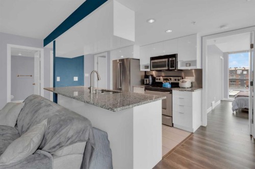 504-1110 11 Street Sw, Calgary, AB - Indoor Photo Showing Kitchen With Upgraded Kitchen