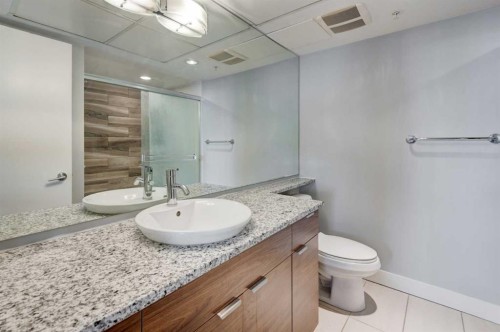 504-1110 11 Street Sw, Calgary, AB - Indoor Photo Showing Bathroom