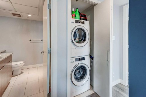 504-1110 11 Street Sw, Calgary, AB - Indoor Photo Showing Laundry Room