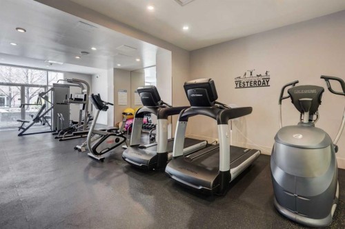 504-1110 11 Street Sw, Calgary, AB - Indoor Photo Showing Gym Room