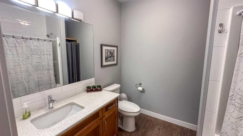 9-610 4 Avenue Sw, Sundre, AB - Indoor Photo Showing Bathroom