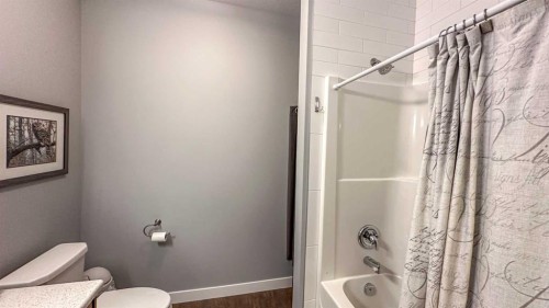 9-610 4 Avenue Sw, Sundre, AB - Indoor Photo Showing Bathroom