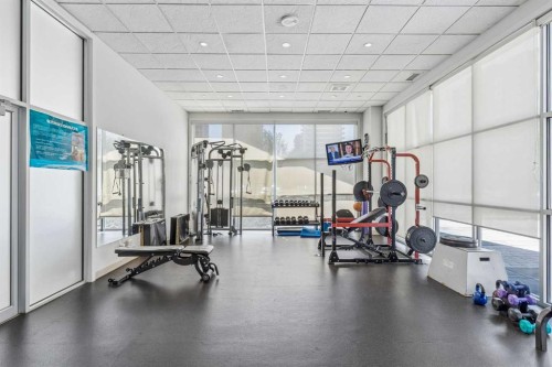 1702-530 12 Avenue Sw, Calgary, AB - Indoor Photo Showing Gym Room