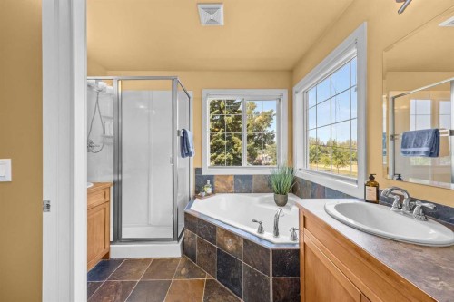 301 29 Avenue Ne, Calgary, AB - Indoor Photo Showing Bathroom