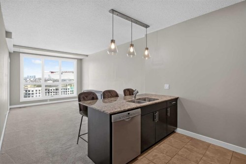 1205-8710 Horton Road Sw, Calgary, AB - Indoor Photo Showing Kitchen With Double Sink