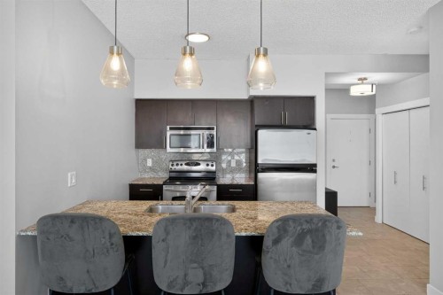 1205-8710 Horton Road Sw, Calgary, AB - Indoor Photo Showing Kitchen With Stainless Steel Kitchen With Double Sink With Upgraded Kitchen