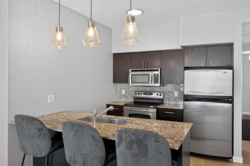 1205-8710 Horton Road Sw, Calgary, AB - Indoor Photo Showing Kitchen With Stainless Steel Kitchen With Double Sink With Upgraded Kitchen