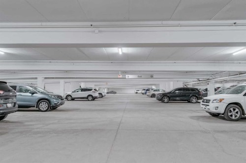 1205-8710 Horton Road Sw, Calgary, AB - Indoor Photo Showing Garage