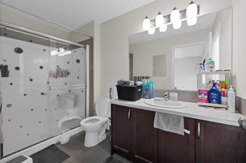 533 Savanna Blvd Boulevard Ne, Calgary, AB - Indoor Photo Showing Bathroom