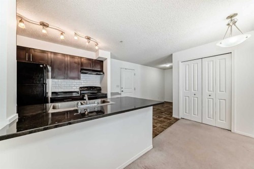 111-195 Kincora Glen Road Nw, Calgary, AB - Indoor Photo Showing Kitchen With Double Sink