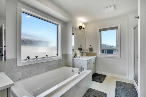 45 Dawson Gardens, Chestermere, AB - Indoor Photo Showing Bathroom