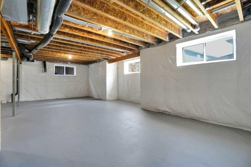 45 Dawson Gardens, Chestermere, AB - Indoor Photo Showing Basement