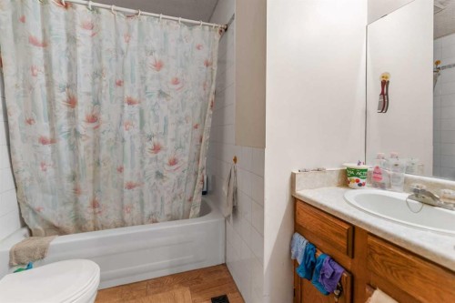 6772 Temple Drive Ne, Calgary, AB - Indoor Photo Showing Bathroom