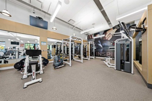 105-2231 Mahogany Boulevard Se, Calgary, AB - Indoor Photo Showing Gym Room