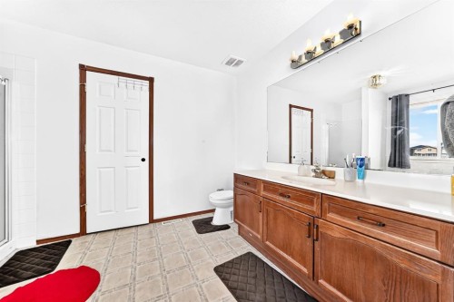 308 Taracove Estate Drive Ne, Calgary, AB - Indoor Photo Showing Bathroom