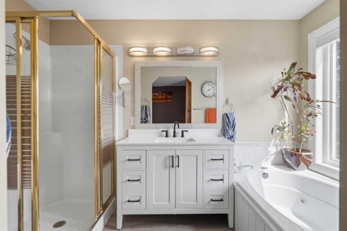 142 Riverview Circle Se, Calgary, AB - Indoor Photo Showing Bathroom