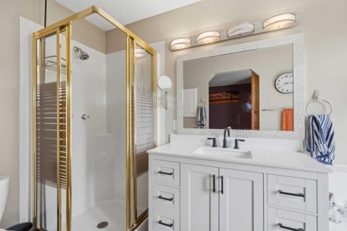 142 Riverview Circle Se, Calgary, AB - Indoor Photo Showing Bathroom
