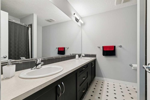 105 Bridlerange Place Sw, Calgary, AB - Indoor Photo Showing Bathroom