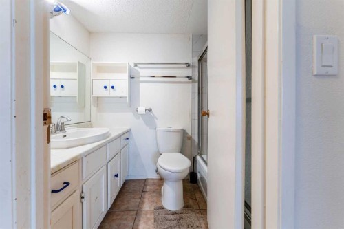 31-821 3 Avenue Sw, Calgary, AB - Indoor Photo Showing Bathroom