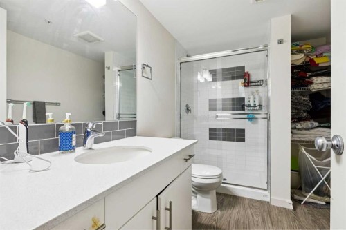 2115-181 Skyview Ranch Manor Ne, Calgary, AB - Indoor Photo Showing Bathroom