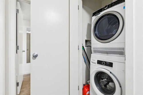 2115-181 Skyview Ranch Manor Ne, Calgary, AB - Indoor Photo Showing Laundry Room