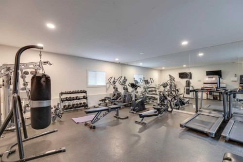 2115-181 Skyview Ranch Manor Ne, Calgary, AB - Indoor Photo Showing Gym Room