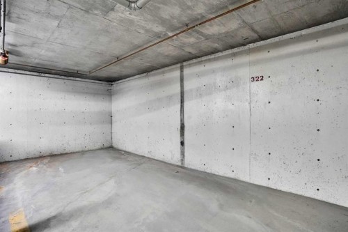 219-4000 Citadel Meadow Point Nw, Calgary, AB - Indoor Photo Showing Garage