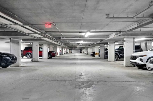 219-4000 Citadel Meadow Point Nw, Calgary, AB - Indoor Photo Showing Garage