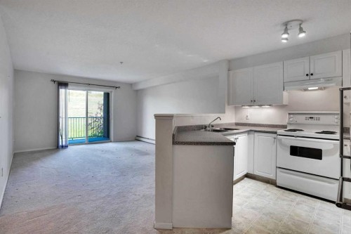 219-4000 Citadel Meadow Point Nw, Calgary, AB - Indoor Photo Showing Kitchen With Double Sink
