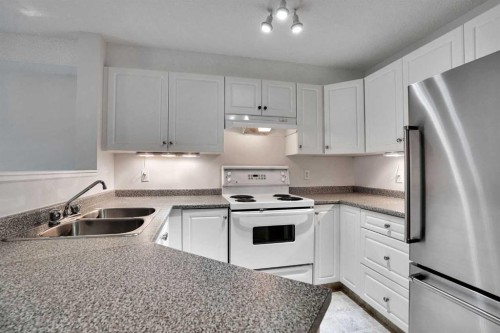 219-4000 Citadel Meadow Point Nw, Calgary, AB - Indoor Photo Showing Kitchen With Double Sink