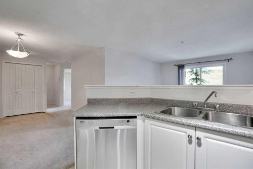 219-4000 Citadel Meadow Point Nw, Calgary, AB - Indoor Photo Showing Kitchen With Double Sink