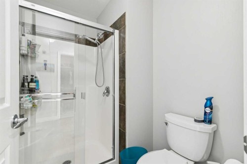 4008 Garrison Boulevard Sw, Calgary, AB - Indoor Photo Showing Bathroom