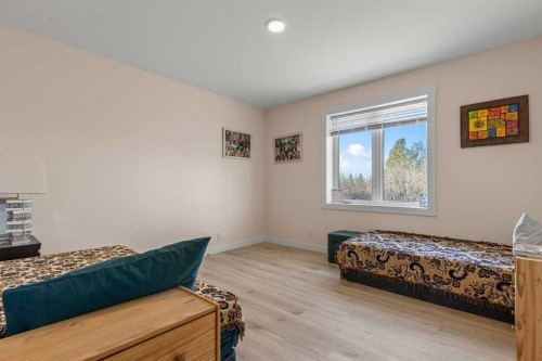 272017 Range Road 282, Rural Rocky View County, AB - Indoor Photo Showing Bedroom