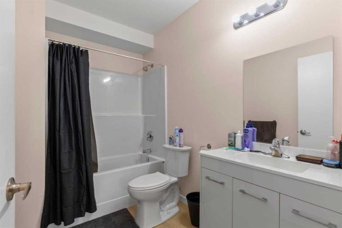 272017 Range Road 282, Rural Rocky View County, AB - Indoor Photo Showing Bathroom
