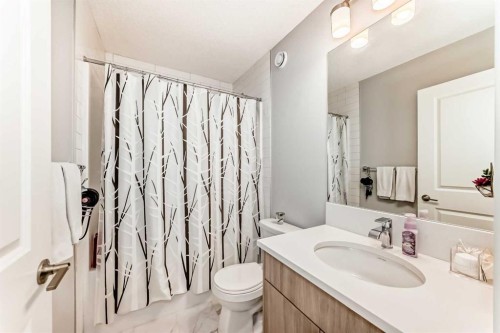20893 Main Street Se, Calgary, AB - Indoor Photo Showing Bathroom