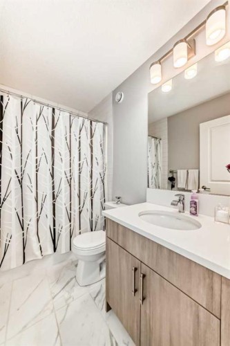 20893 Main Street Se, Calgary, AB - Indoor Photo Showing Bathroom