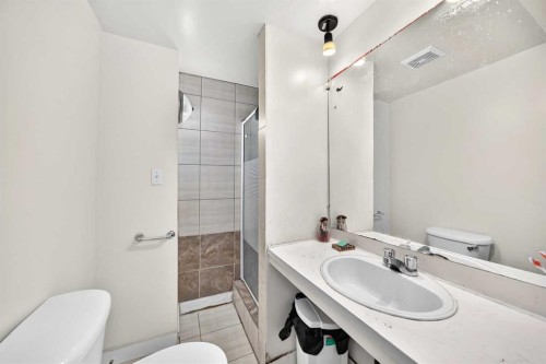311 72 Avenue Ne, Calgary, AB - Indoor Photo Showing Bathroom