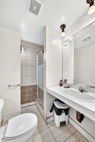 311 72 Avenue Ne, Calgary, AB - Indoor Photo Showing Bathroom