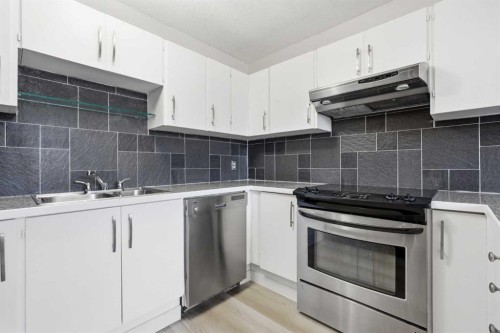 7003 Ranchero Road Nw, Calgary, AB - Indoor Photo Showing Kitchen With Stainless Steel Kitchen