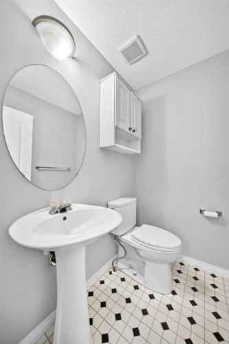 171 Oakmere Green, Chestermere, AB - Indoor Photo Showing Bathroom