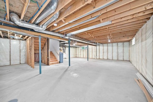 171 Oakmere Green, Chestermere, AB - Indoor Photo Showing Basement